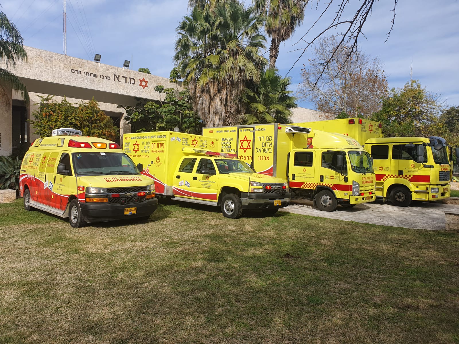 יום תורם הדם הבינלאומי