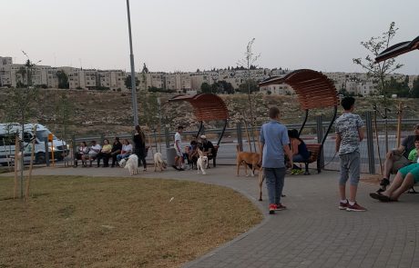 עיריית ירושלים תקים מתחם לשחרור כלבים בגינה בשכונת חומת שמואל